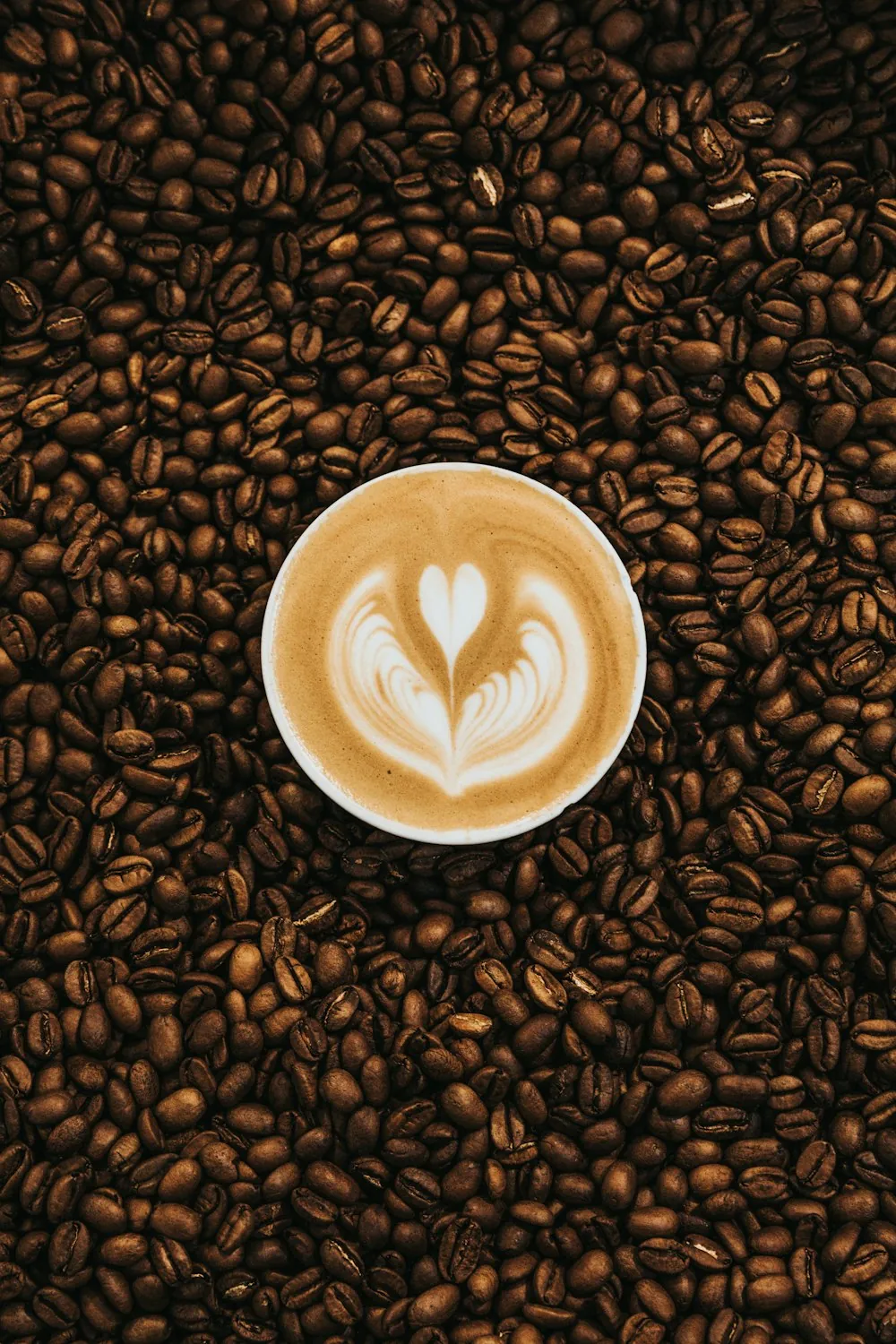 Latte surrounded by roasted coffee beans